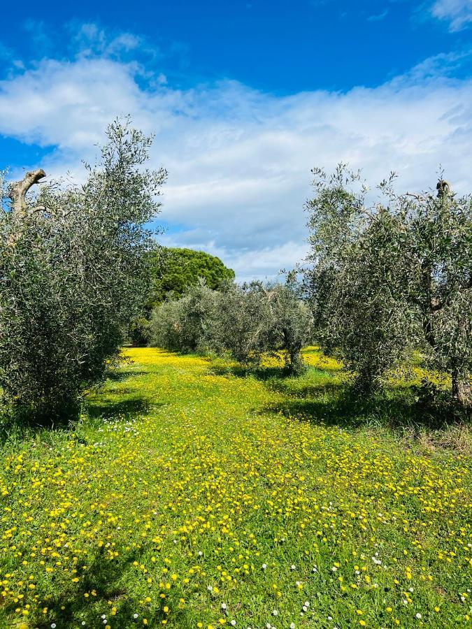 Valle D'oro Frühstückspension *